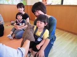 p11.jpg