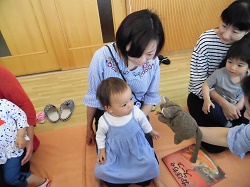 p16.jpg